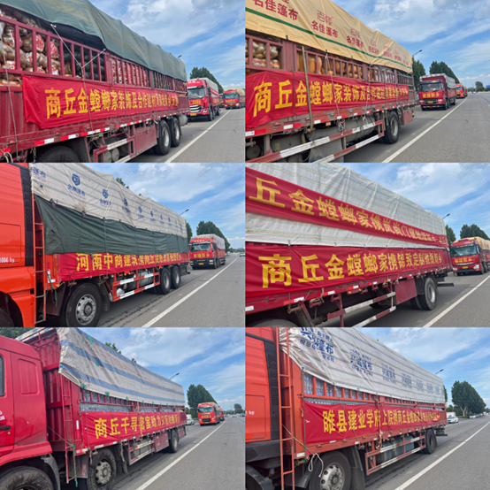202107301540563606 首页- 英国立博ladbrokes公司官网